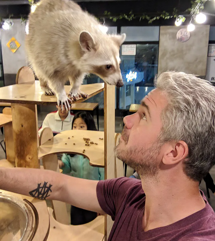 Bret McGowen meeting an awesome raccoon